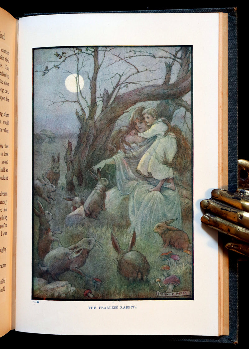 1911 Rare Book - AT THE BACK OF THE NORTH WIND by George MacDonald & Illustrated by Frank C. Pape.