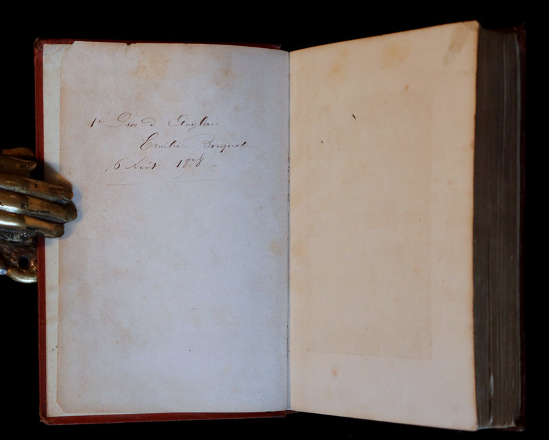 1875 Rare Book - The LAMPLIGHTER by Maria Susanna Cummins. Illustrated in color.