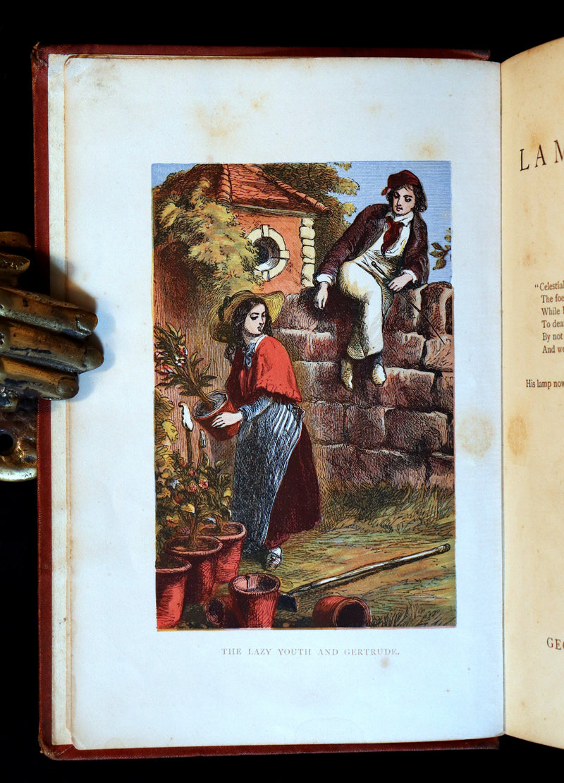 1875 Rare Book - The LAMPLIGHTER by Maria Susanna Cummins. Illustrated in color.