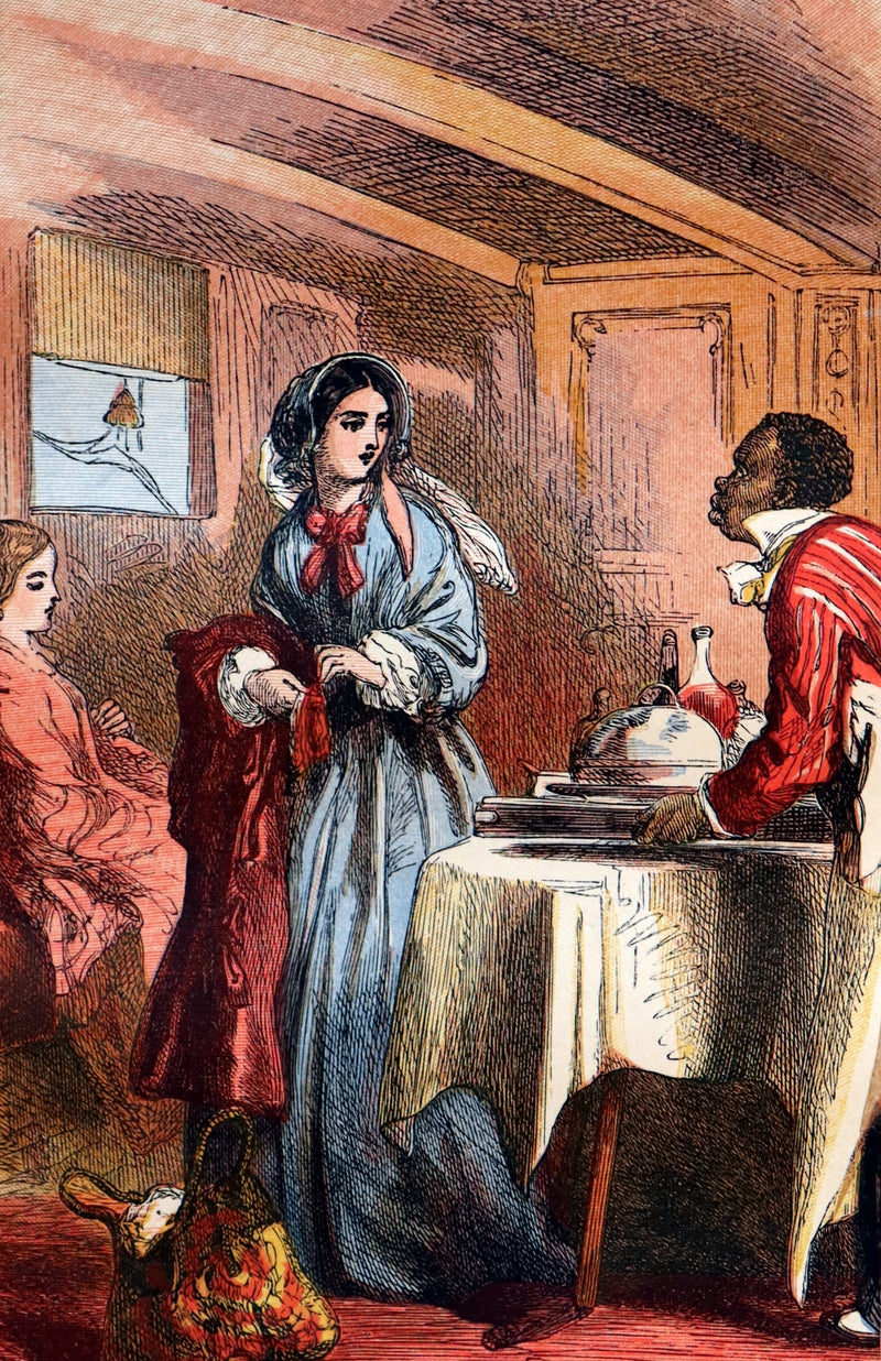 1875 Rare Book - The LAMPLIGHTER by Maria Susanna Cummins. Illustrated in color.