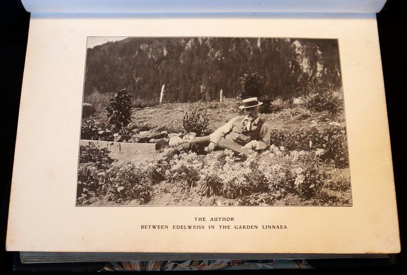 1911 Rare Book - The ALPINE FLORA (Flowers) by Henry Correvon illustrated in water-colour.