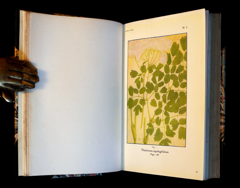 1911 Rare Book - The ALPINE FLORA (Flowers) by Henry Correvon illustrated in water-colour.