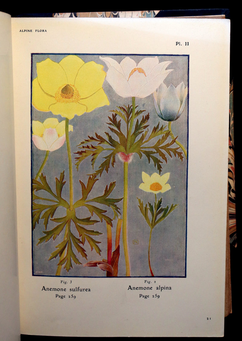 1911 Rare Book - The ALPINE FLORA (Flowers) by Henry Correvon illustrated in water-colour.