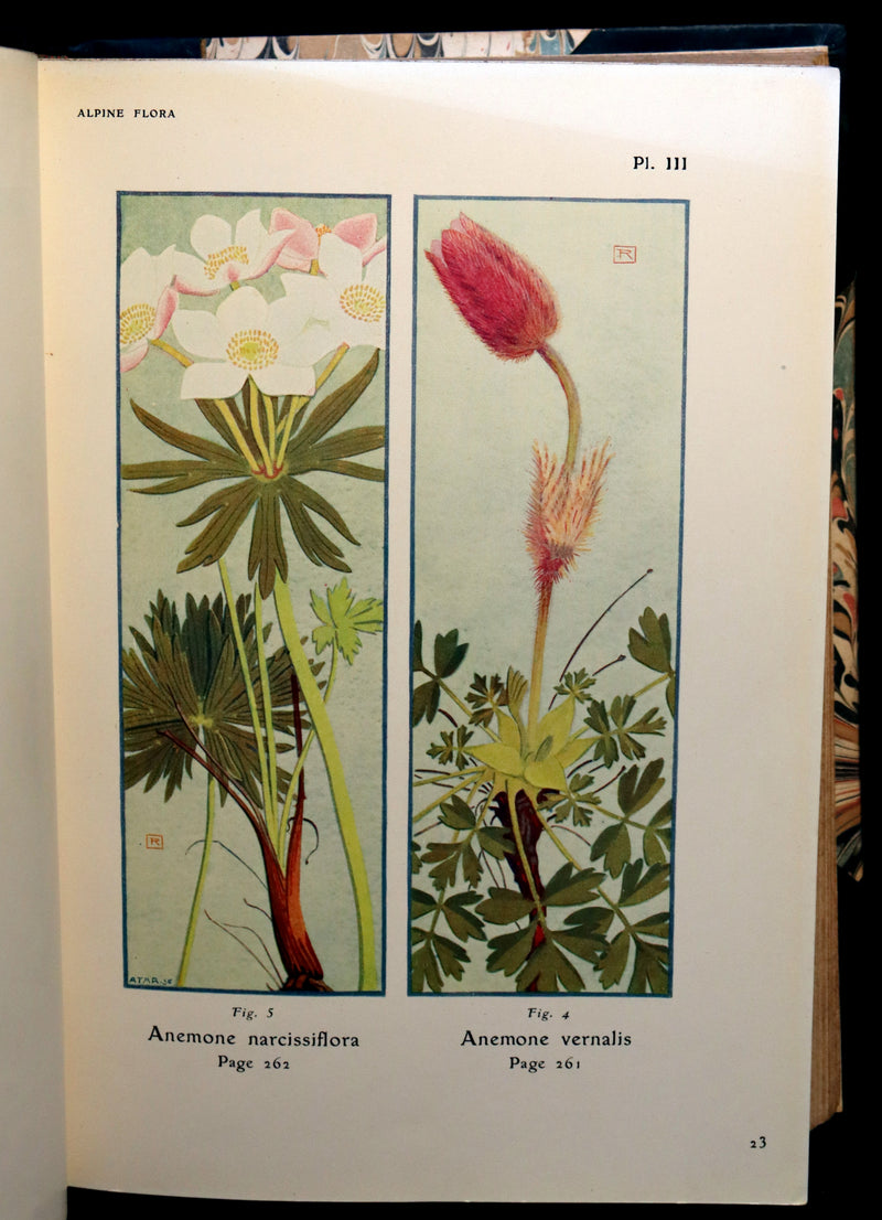 1911 Rare Book - The ALPINE FLORA (Flowers) by Henry Correvon illustrated in water-colour.