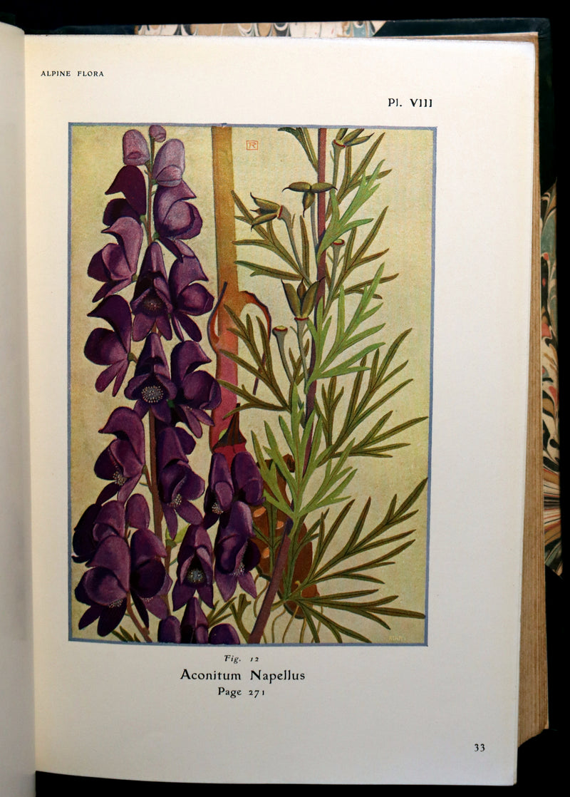 1911 Rare Book - The ALPINE FLORA (Flowers) by Henry Correvon illustrated in water-colour.