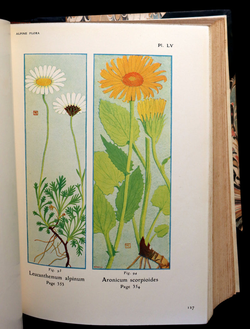 1911 Rare Book - The ALPINE FLORA (Flowers) by Henry Correvon illustrated in water-colour.