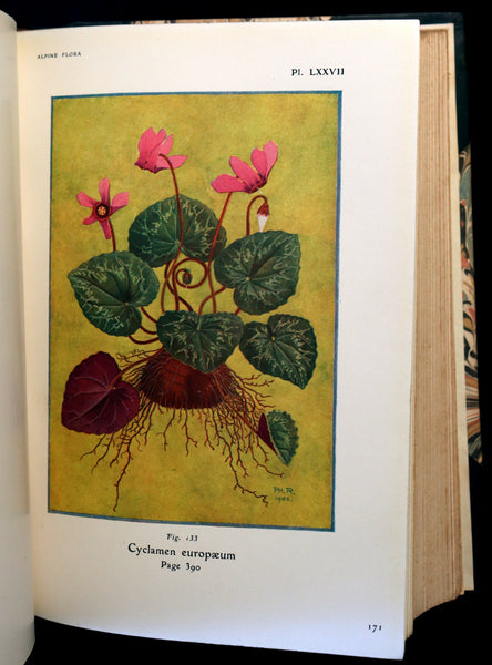 1911 Rare Book - The ALPINE FLORA (Flowers) by Henry Correvon illustrated in water-colour.