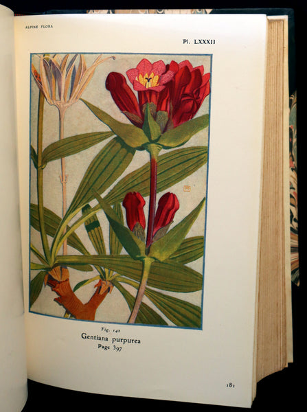 1911 Rare Book - The ALPINE FLORA (Flowers) by Henry Correvon illustrated in water-colour.