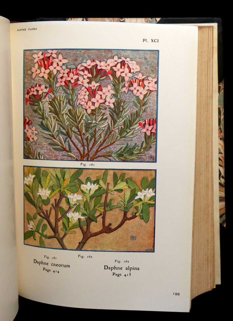 1911 Rare Book - The ALPINE FLORA (Flowers) by Henry Correvon illustrated in water-colour.