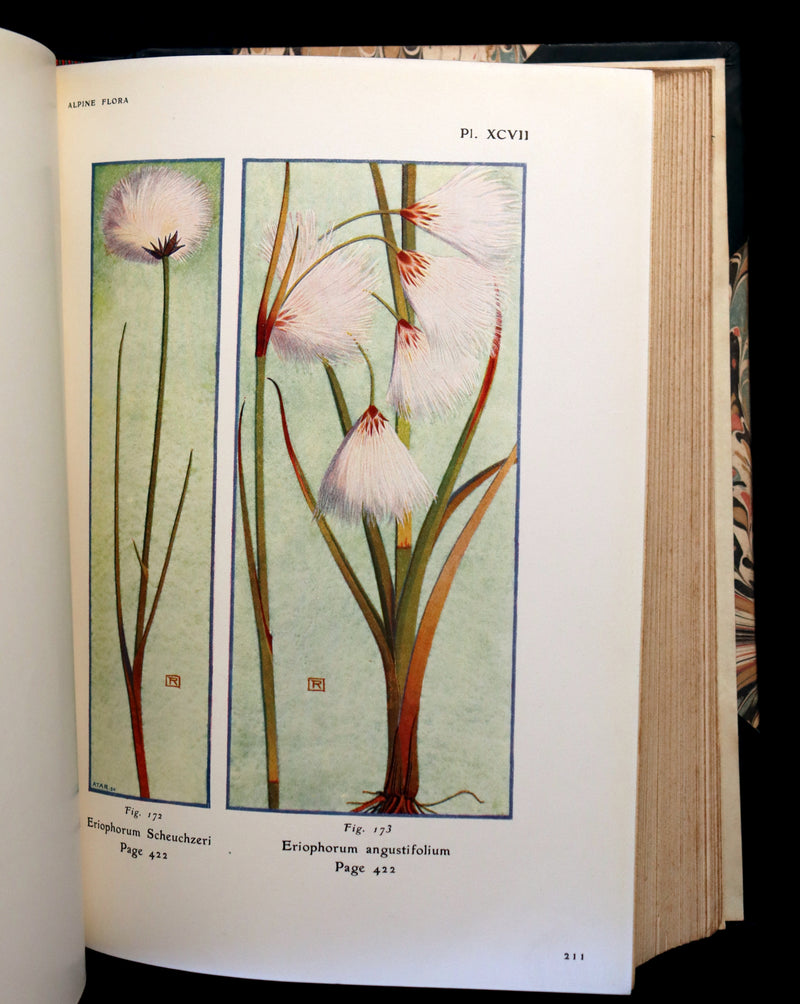 1911 Rare Book - The ALPINE FLORA (Flowers) by Henry Correvon illustrated in water-colour.