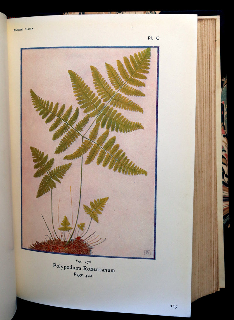 1911 Rare Book - The ALPINE FLORA (Flowers) by Henry Correvon illustrated in water-colour.