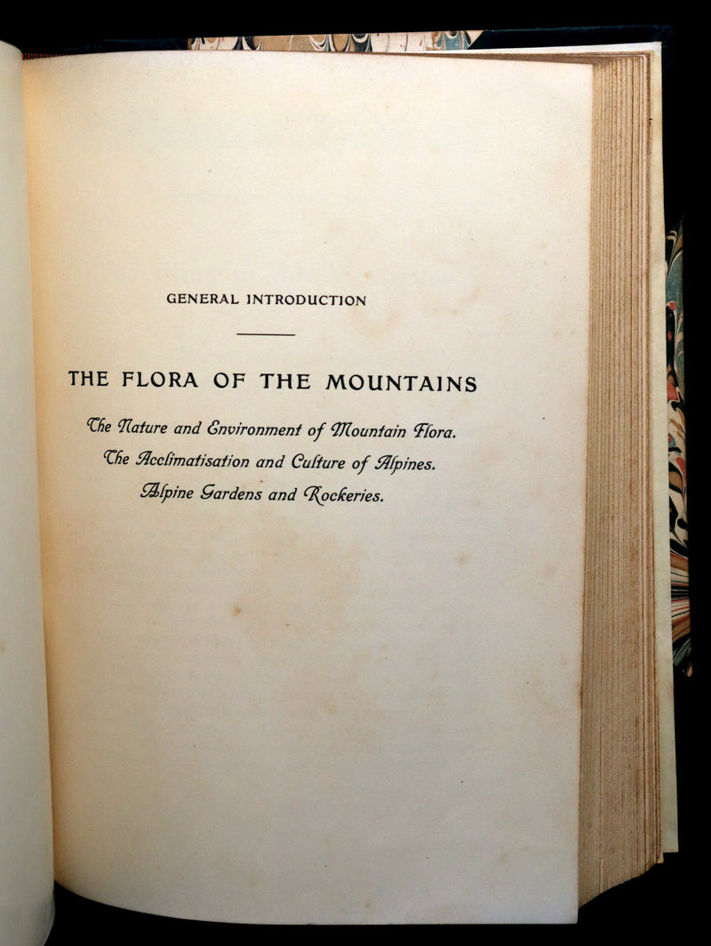 1911 Rare Book - The ALPINE FLORA (Flowers) by Henry Correvon illustrated in water-colour.