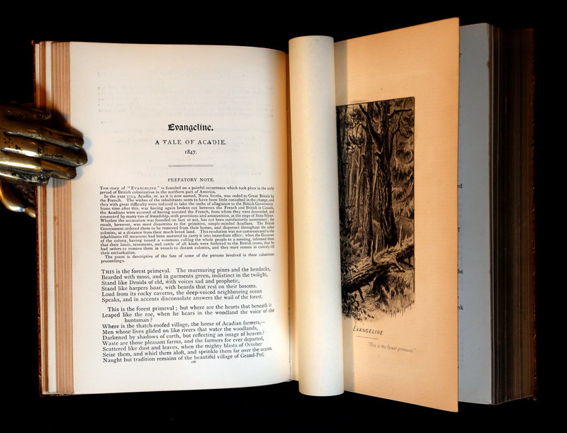 1890 Scarce Book bound by Ramage - The Poetical Works of Henry Wadsworth Longfellow Illustrated by Symington.