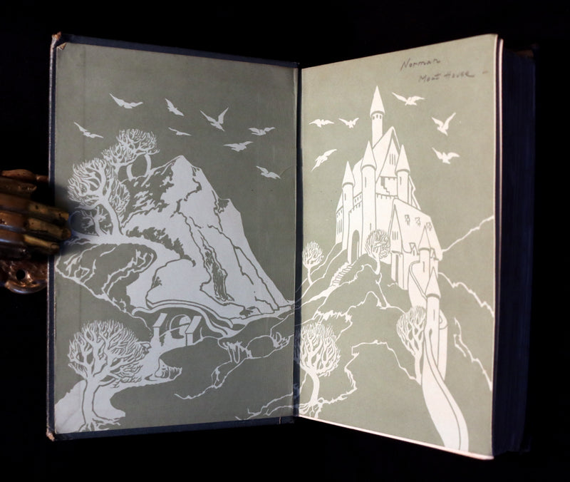 1911 Rare Book - The PRINCESS and the GOBLIN by George MacDonald. Illustrated.