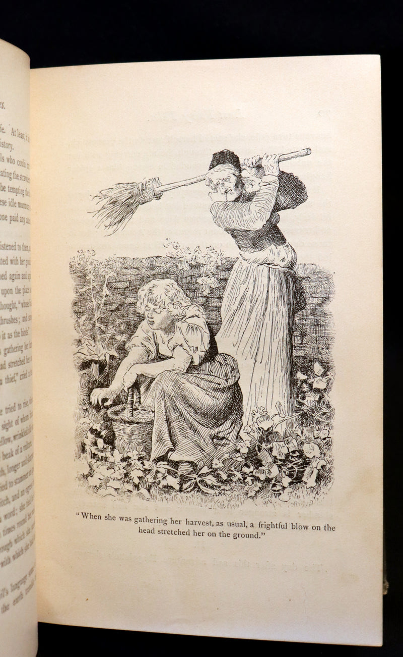 1885 Rare First Edition - Edouard Laboulaye's LAST FAIRY TALES - illustrated.