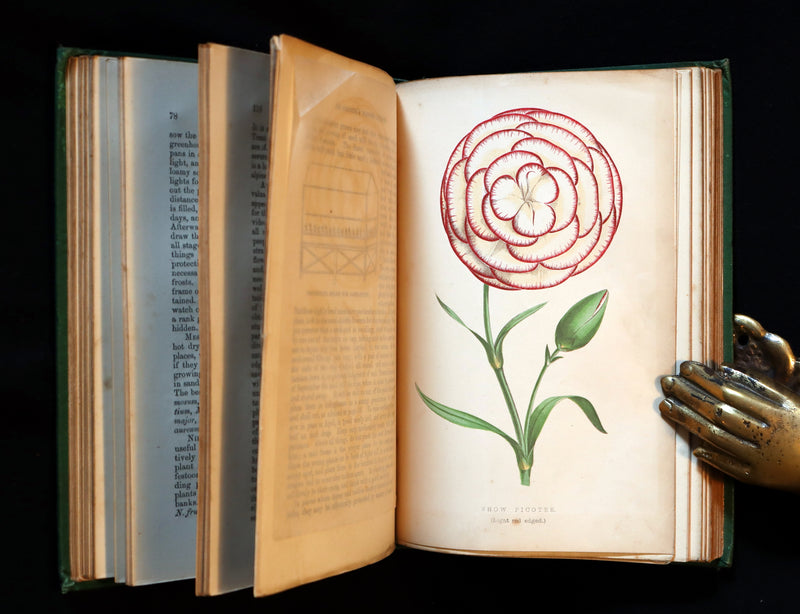 1871 Rare Book - The Amateur's Flower Garden by the famous botanist James Shirley Hibberd. 1stED.
