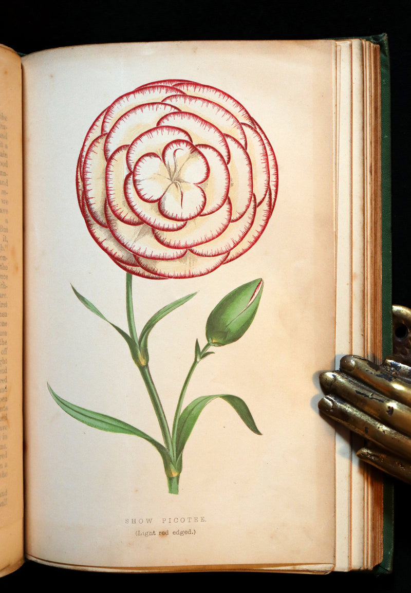 1871 Rare Book - The Amateur's Flower Garden by the famous botanist James Shirley Hibberd. 1stED.