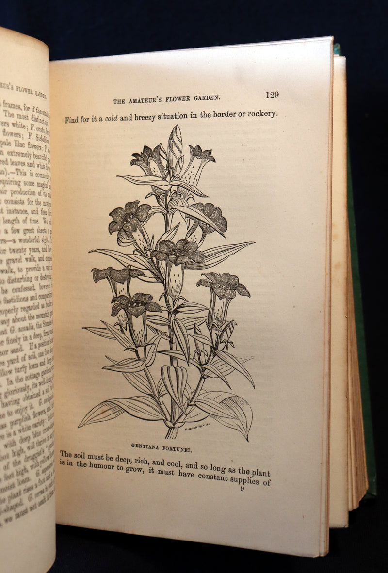 1871 Rare Book - The Amateur's Flower Garden by the famous botanist James Shirley Hibberd. 1stED.