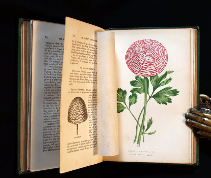 1871 Rare Book - The Amateur's Flower Garden by the famous botanist James Shirley Hibberd. 1stED.