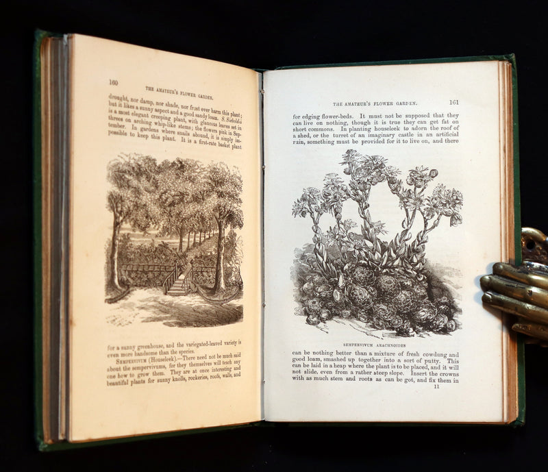 1871 Rare Book - The Amateur's Flower Garden by the famous botanist James Shirley Hibberd. 1stED.