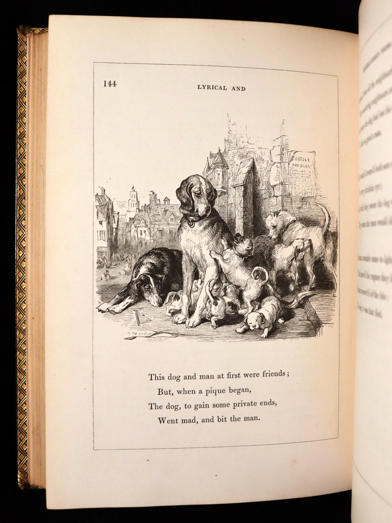 1846 Rare Book - The Poetical Works of Oliver Goldsmith illustrated. Including The Deserted Village.