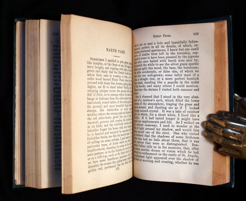 1899 Scarce Victorian Book - WALDEN or Life in the Woods by Henry David Thoreau.