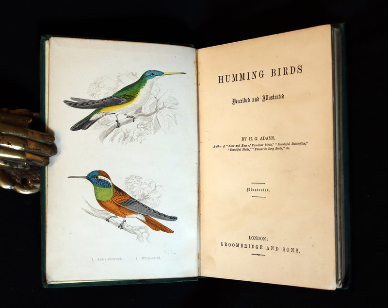 1856 Scarce Ornithology Book ~ HUMMING BIRDS described & Color Illustrated. By Henry Gardiner Adams.