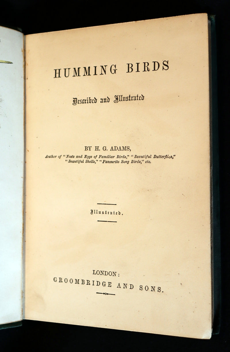 1856 Scarce Ornithology Book ~ HUMMING BIRDS described & Color Illustrated. By Henry Gardiner Adams.
