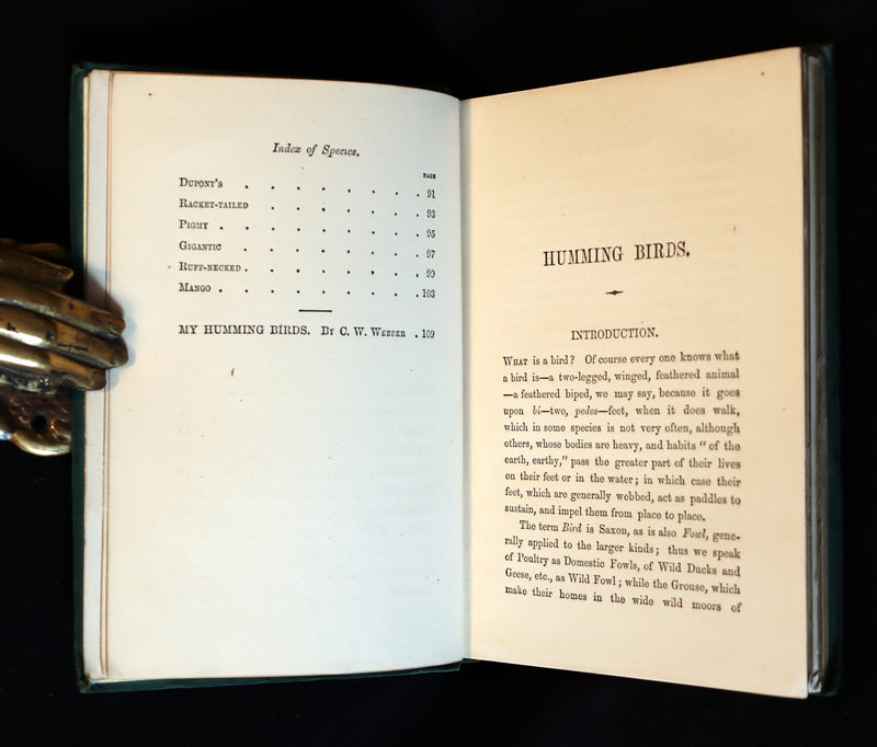 1856 Scarce Ornithology Book ~ HUMMING BIRDS described & Color Illustrated. By Henry Gardiner Adams.