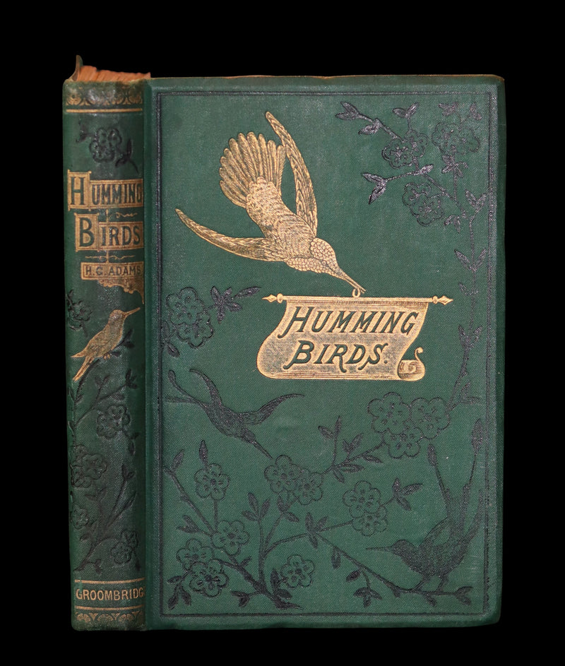 1856 Scarce Ornithology Book ~ HUMMING BIRDS described & Color Illustrated. By Henry Gardiner Adams.