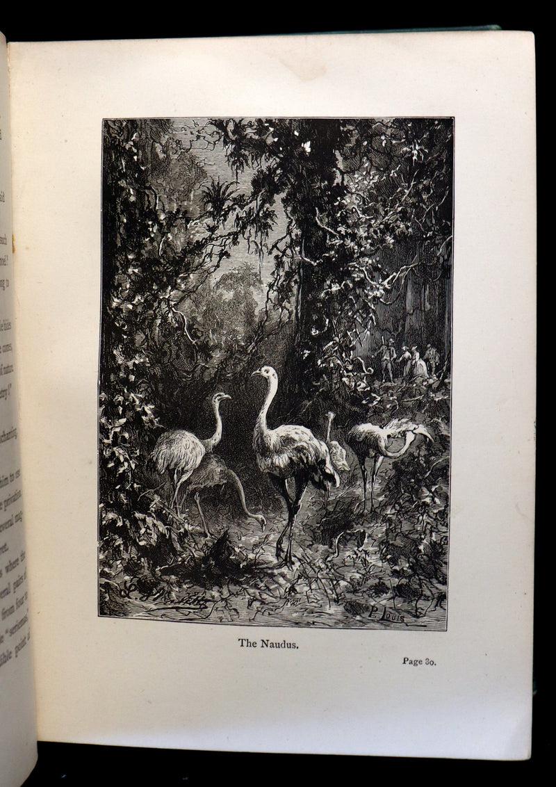 1889 Scarce Edition - Jules Verne - The Giant Raft: Eight Hundred Leagues on The Amazon