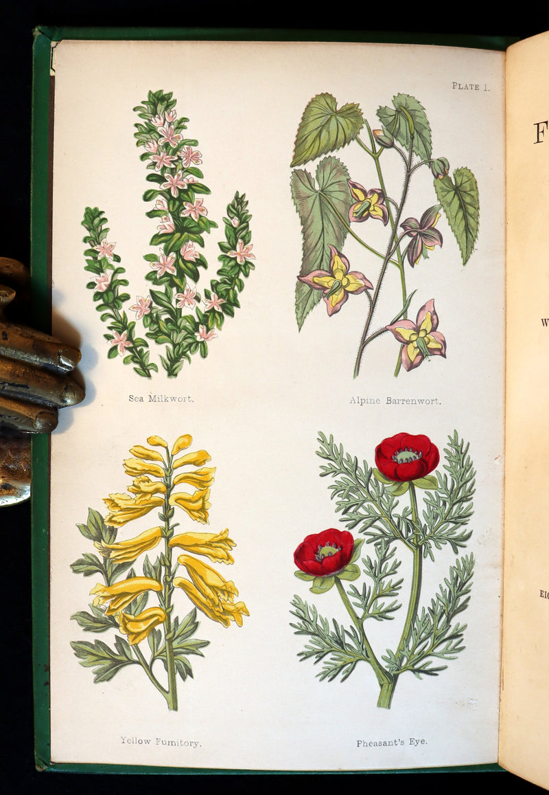 1870 Rare First Edition - FIELD FLOWERS, A handy-book for the rambling by the famous botanist James Shirley Hibberd.