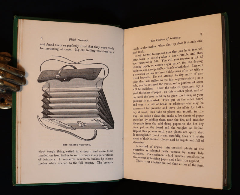 1870 Rare First Edition - FIELD FLOWERS, A handy-book for the rambling by the famous botanist James Shirley Hibberd.