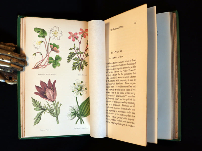 1870 Rare First Edition - FIELD FLOWERS, A handy-book for the rambling by the famous botanist James Shirley Hibberd.