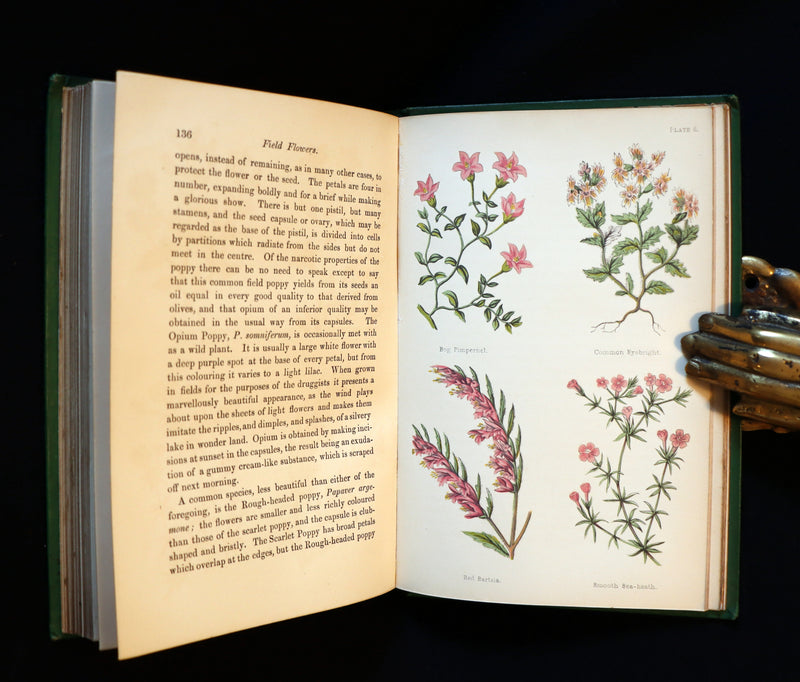 1870 Rare First Edition - FIELD FLOWERS, A handy-book for the rambling by the famous botanist James Shirley Hibberd.