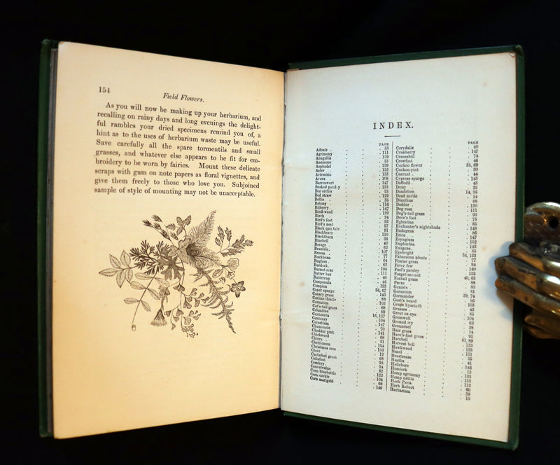 1870 Rare First Edition - FIELD FLOWERS, A handy-book for the rambling by the famous botanist James Shirley Hibberd.