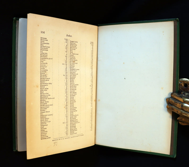 1870 Rare First Edition - FIELD FLOWERS, A handy-book for the rambling by the famous botanist James Shirley Hibberd.