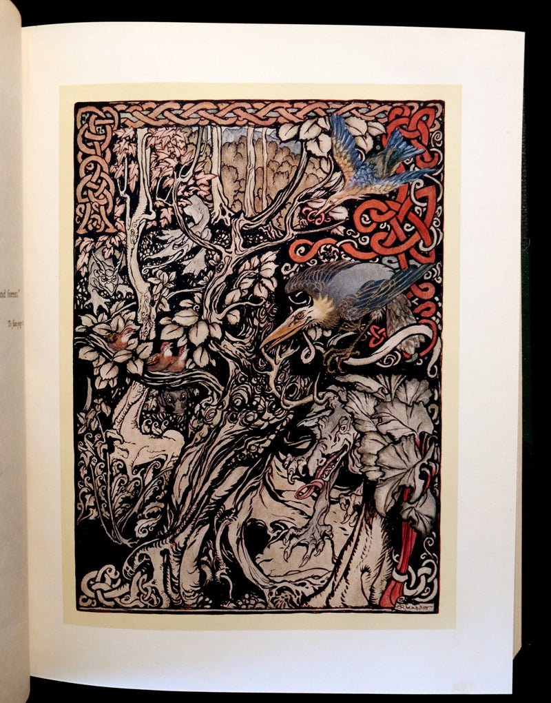 1920 Rare First Edition - Irish Fairy Tales by James Stephens illustrated by Arthur Rackham.