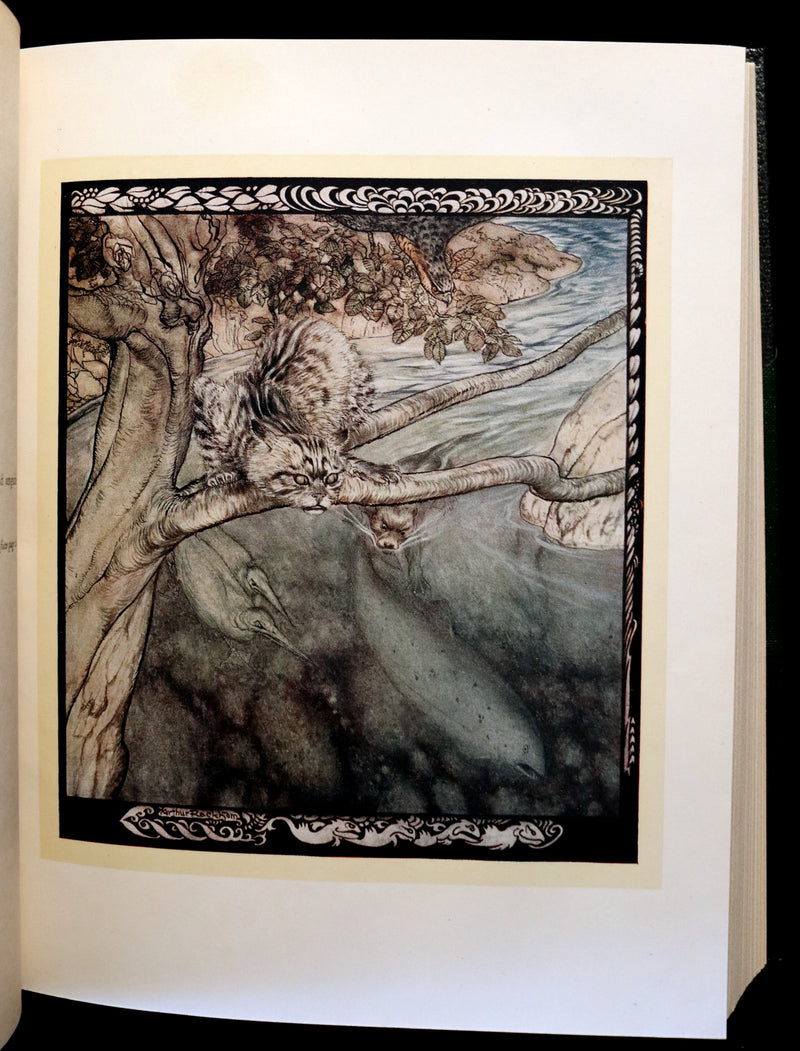 1920 Rare First Edition - Irish Fairy Tales by James Stephens illustrated by Arthur Rackham.