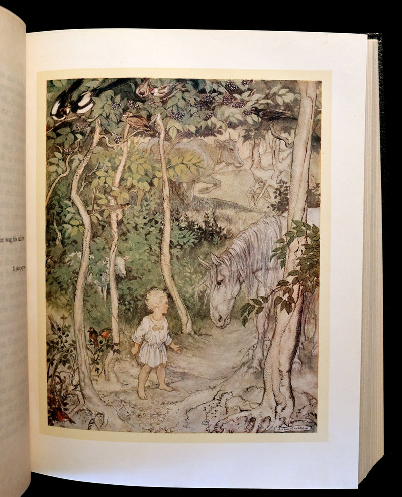 1920 Rare First Edition - Irish Fairy Tales by James Stephens illustrated by Arthur Rackham.