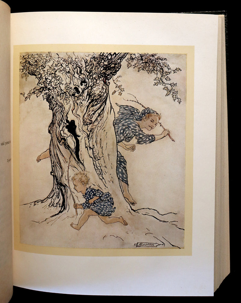 1920 Rare First Edition - Irish Fairy Tales by James Stephens illustrated by Arthur Rackham.