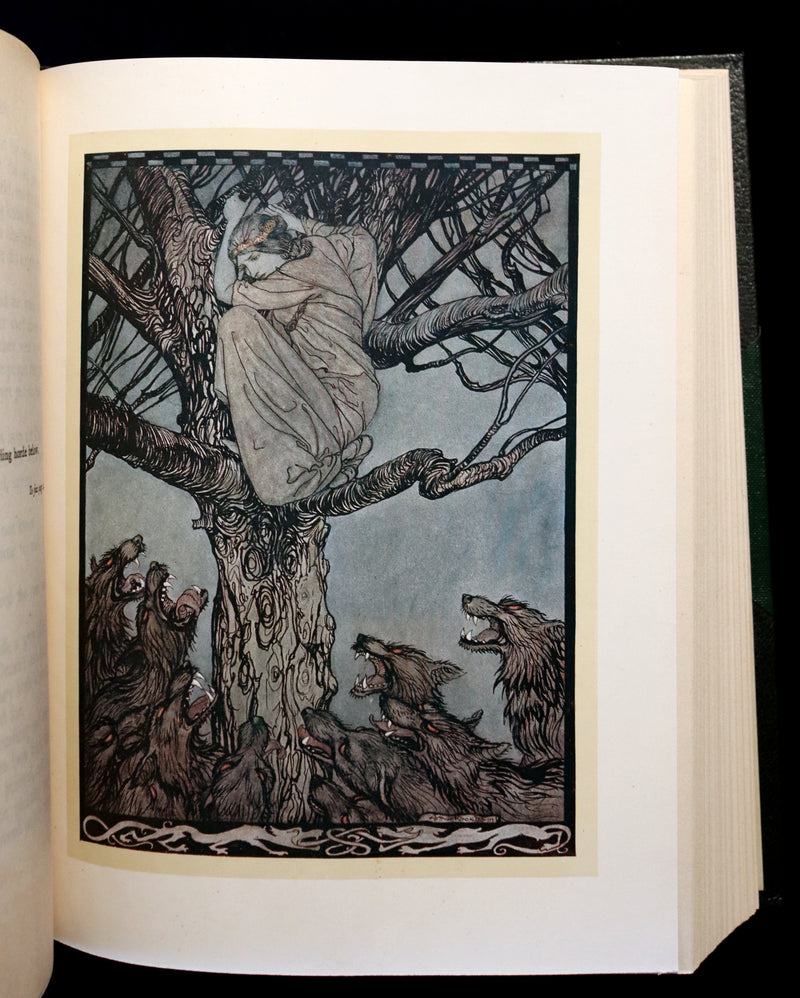 1920 Rare First Edition - Irish Fairy Tales by James Stephens illustrated by Arthur Rackham.