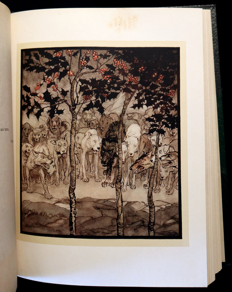 1920 Rare First Edition - Irish Fairy Tales by James Stephens illustrated by Arthur Rackham.