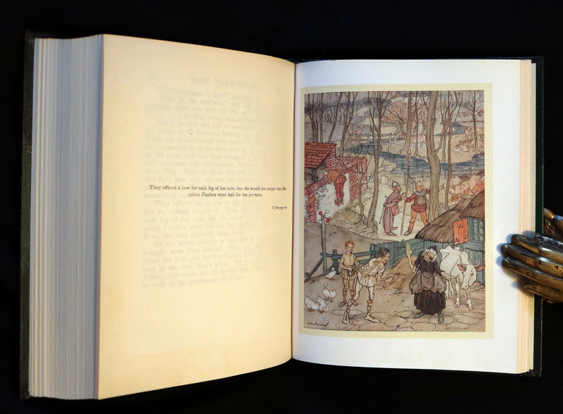 1920 Rare First Edition - Irish Fairy Tales by James Stephens illustrated by Arthur Rackham.