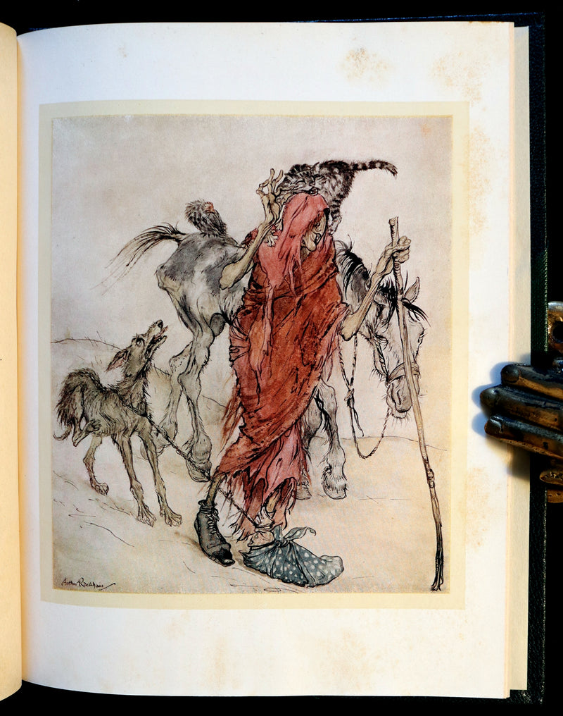 1920 Rare First Edition - Irish Fairy Tales by James Stephens illustrated by Arthur Rackham.