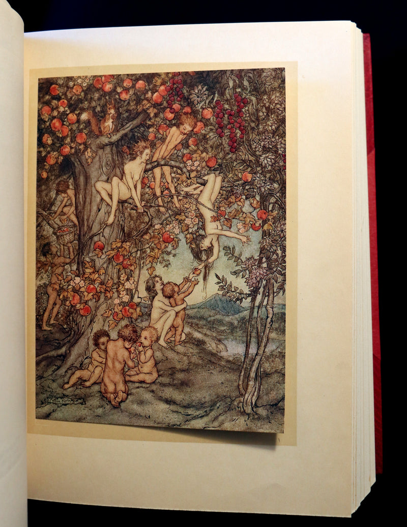 1922 Rare First Edition - A WONDER BOOK by Nathaniel Hawthorne illustrated by Arthur RACKHAM.