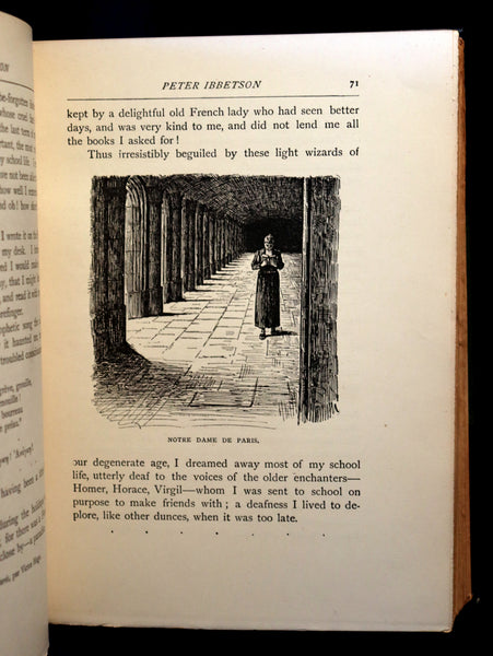 1896 Rare Book - Peter Ibbetson - A strange tale of Communication thro ...