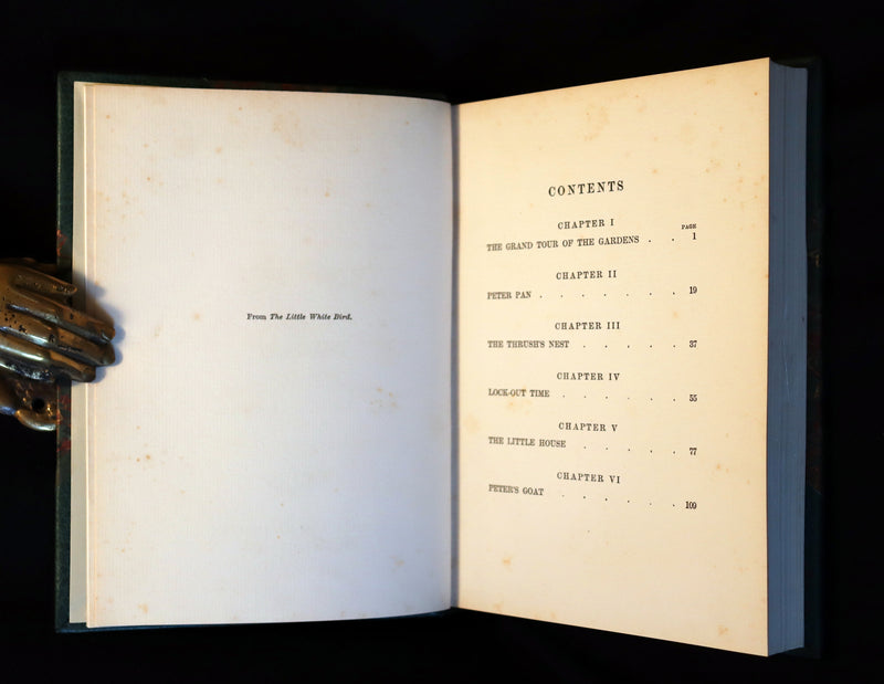 1910 Rare Book - PETER PAN in Kensington Garden illustrated by Arthur Rackham.