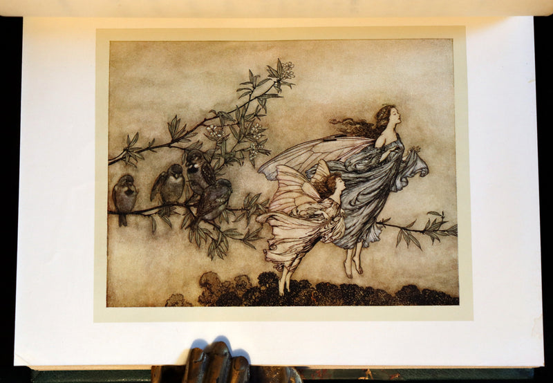 1910 Rare Book - PETER PAN in Kensington Garden illustrated by Arthur Rackham.