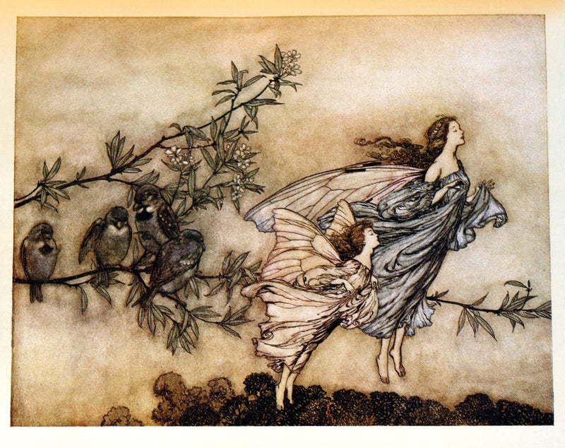 1910 Rare Book - PETER PAN in Kensington Garden illustrated by Arthur Rackham.